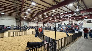 Woodward County Free Fair
