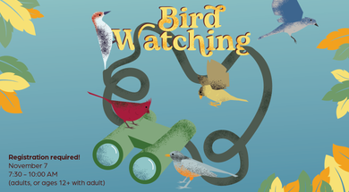 Adult Workshop: Bird Watching