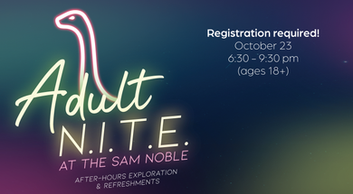 Adult N.I.T.E.
