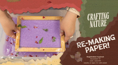 Crafting Nature: Re-Making Paper