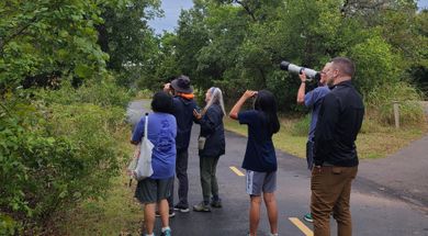 BioBlitz at Bickham-Rudkin Park