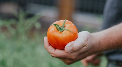 Coffee & Conversation: Preserving Your Harvest