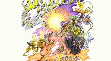 Grateful Shred in Concert