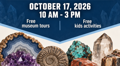 Rock Swap & Open House