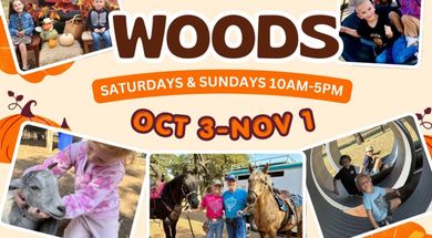 Fall Fun at Walnut Woods