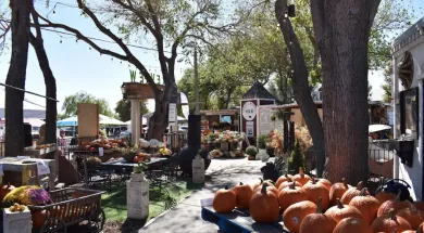 Lakeview Market