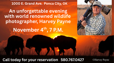 An Evening with World-Renowned Wildlife Photographer Harvey Payne