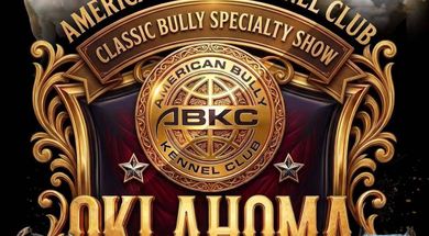 ABKC Oklahoma Bully Breed Expo 7