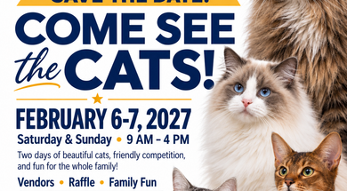 TICA Cat Show