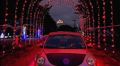 Festival of Angels