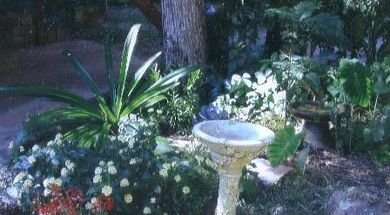 Bill & Clara's Home & Ranch