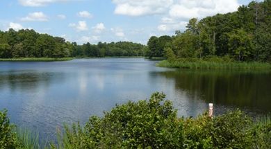 Schooler Lake