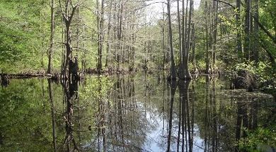 Little River National Wildlife Refuge