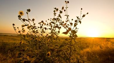 Hackberry Flat Wildlife Management Area & Center
