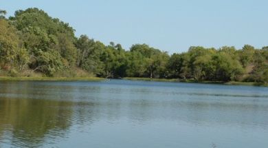Fairfax City Lake