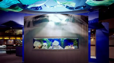 Bodean Restaurant & Market