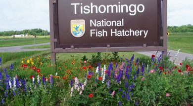 Tishomingo National Fish Hatchery