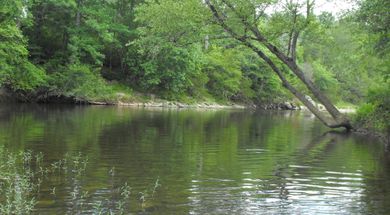 Three Rivers Wildlife Management Area