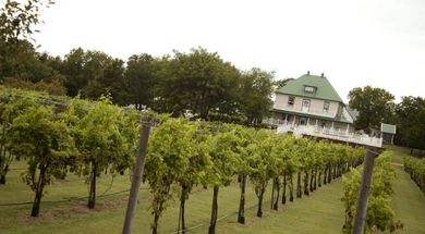 Oklahoma's Wonderful Wines & Wineries