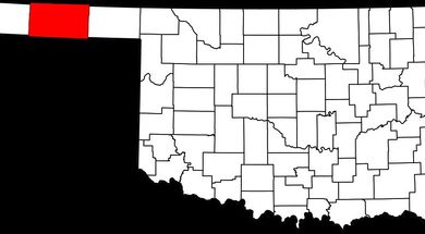 Texas County Genealogy Resources