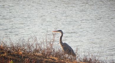 A Weekend of Lakeside Fun in Madill