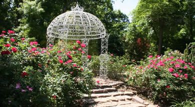 Oklahoma's Top Gardens