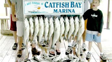 Scarberry's Guide Service