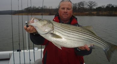 Blue Water Striper Guide Service