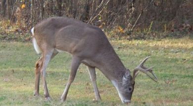 Rogers State University Conservation Education Reserve