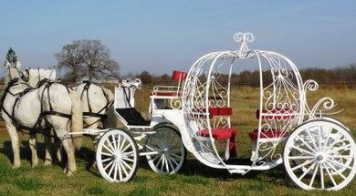 Cameo Carriage Company