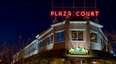 James E McNellie's Public House