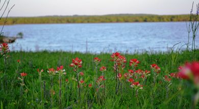 Lakeside Getaways in Chickasaw Country