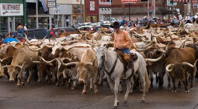 Woodward Convention & Visitors Bureau