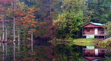 Beavers Bend Fly Shop & Professional Guide Service