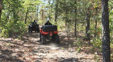 Scipio Recreational Trails Area