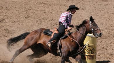 4-Way Rodeo