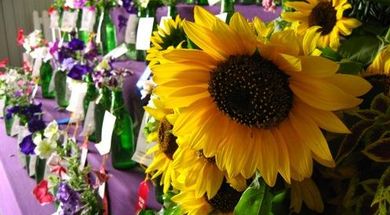 Woodward County Free Fair