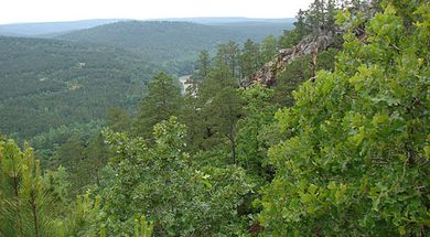 Honobia Creek Wildlife Management Area