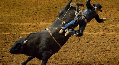Seiling IPRA & KPRA Rodeo