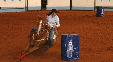 AQHYA World Championship Show