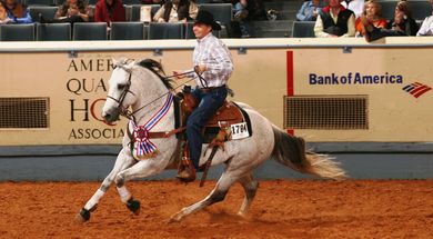 American Quarter Horse Association World Championship Show