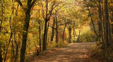 Ouachita National Recreation Trail System