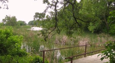 Lake Murray State Park Trail System