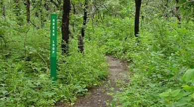 Clear Bay Recreation Area Trail System