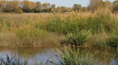 Eagle Roost Nature Trail