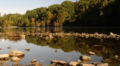 Arrowhead State Park Trail System