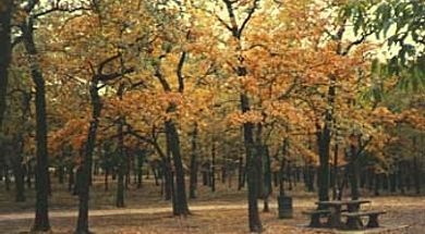 Little Cedar Nature Trail