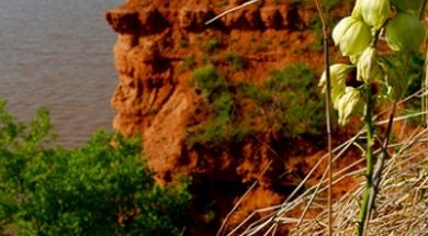 Salt Plains State Park Trail System