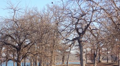 Texoma Interpretive Trail