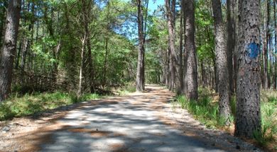 Sequoyah State Park Trail System